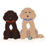 Fathom Financial office dogs